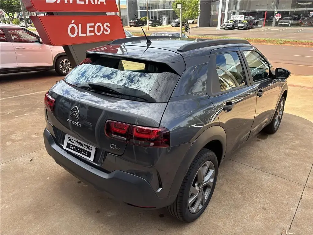 galeria C4 CACTUS