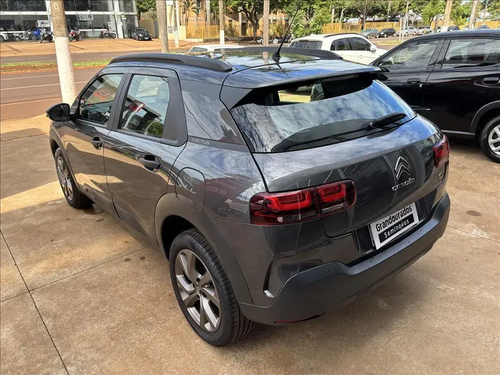 galeria C4 CACTUS
