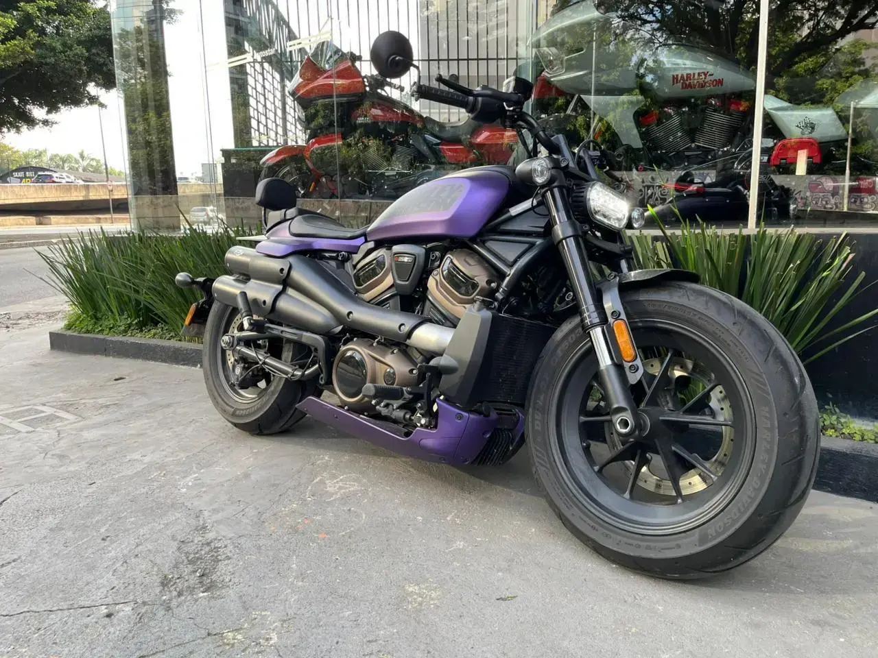 galeria Sportster 1200