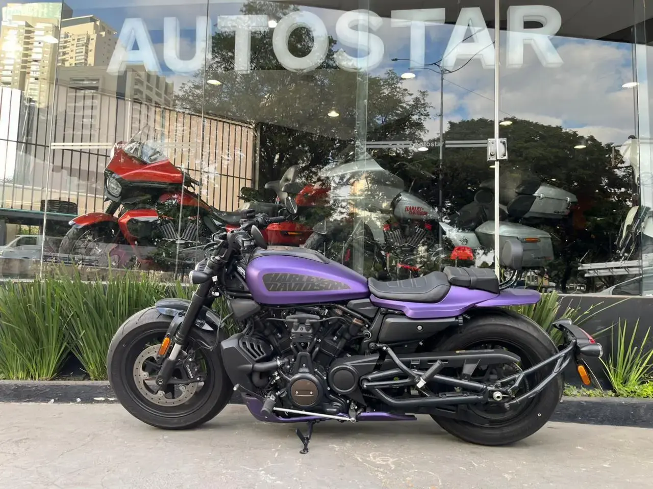 galeria Sportster 1200