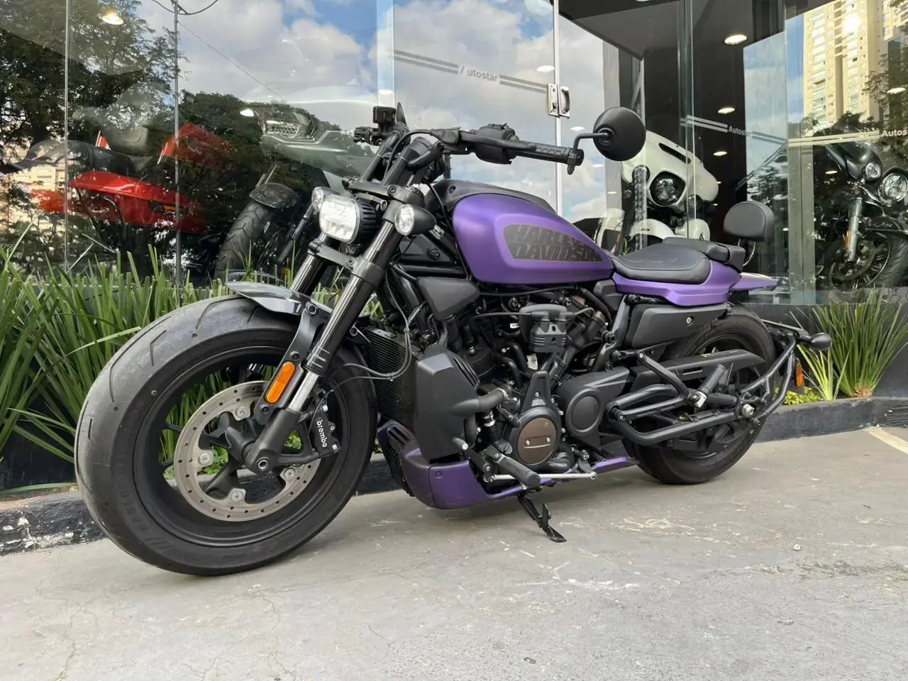 galeria Sportster 1200