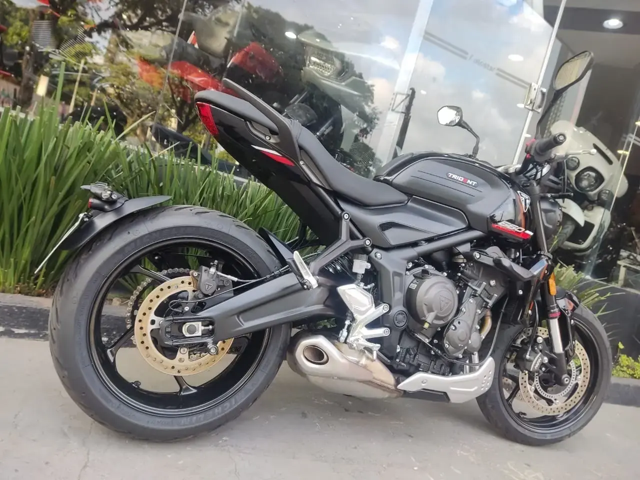galeria Trident 660
