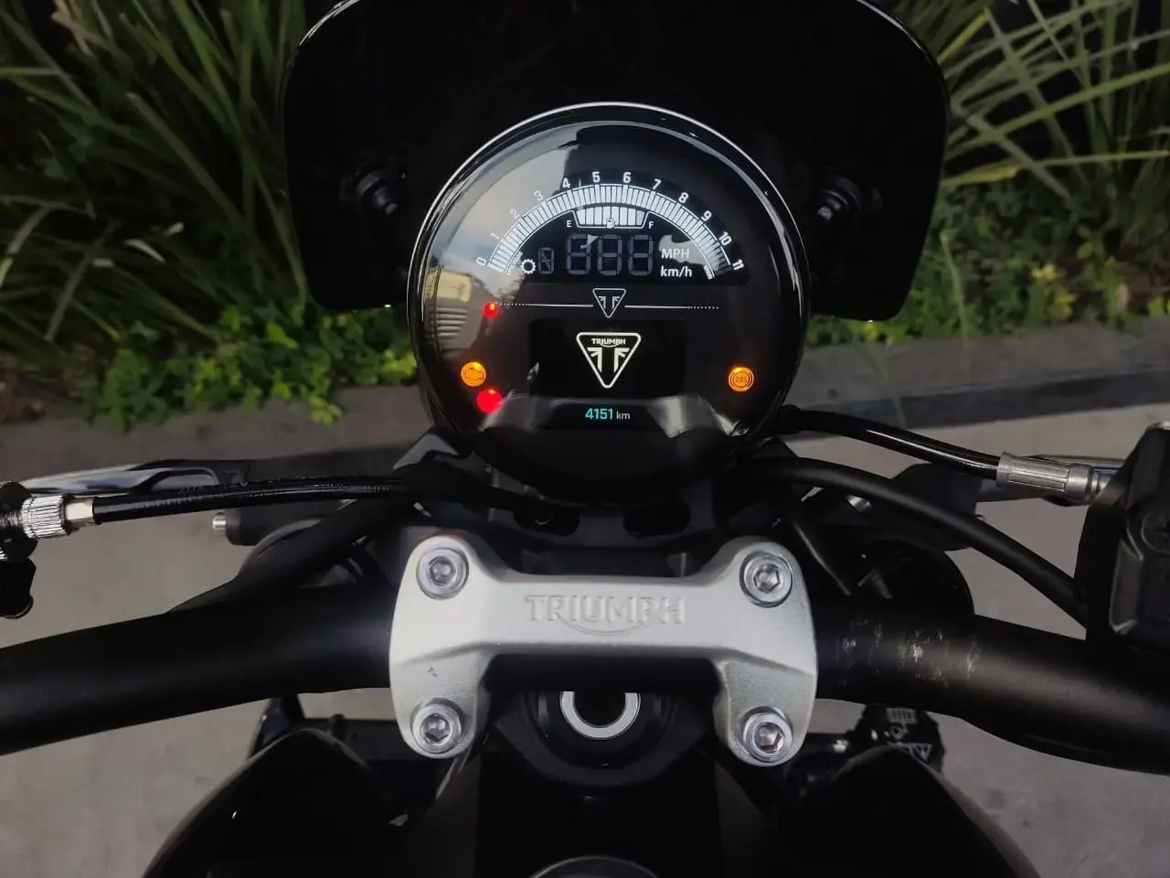 galeria Trident 660