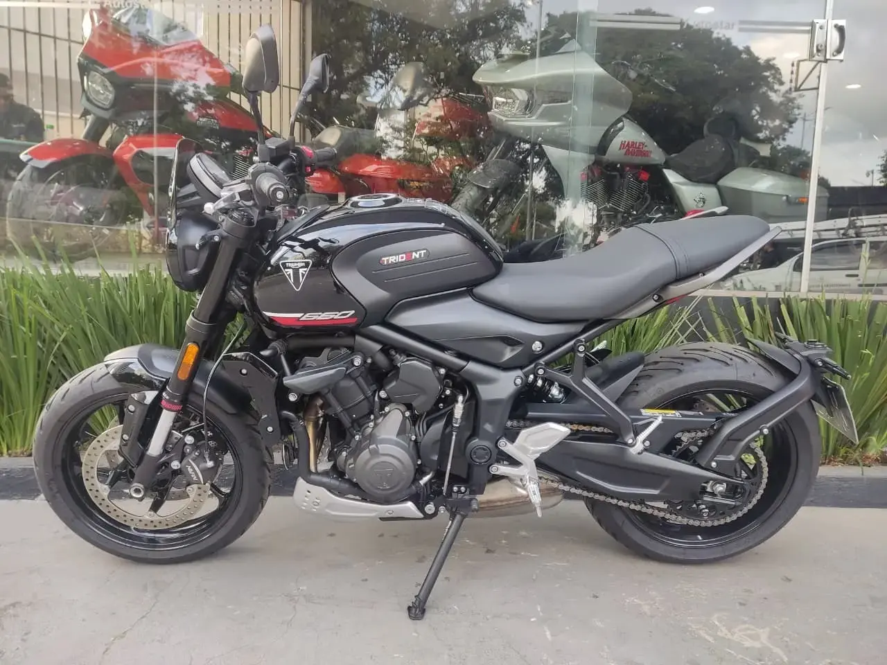 galeria Trident 660