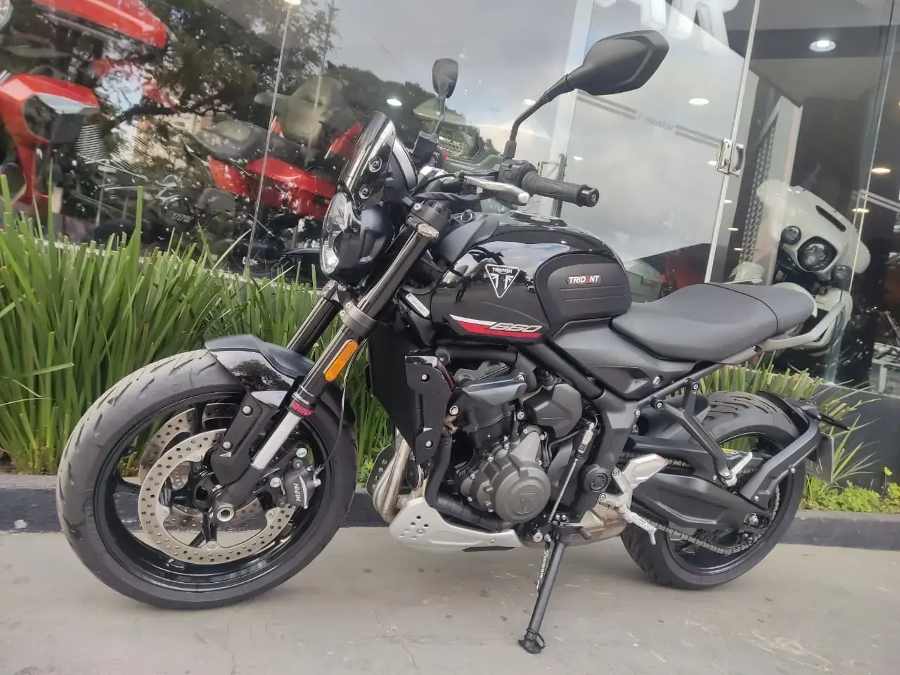 galeria Trident 660