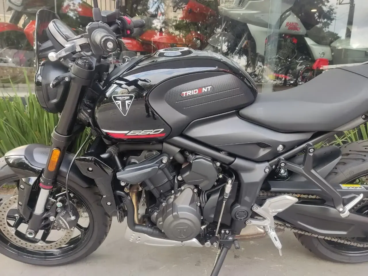 galeria Trident 660