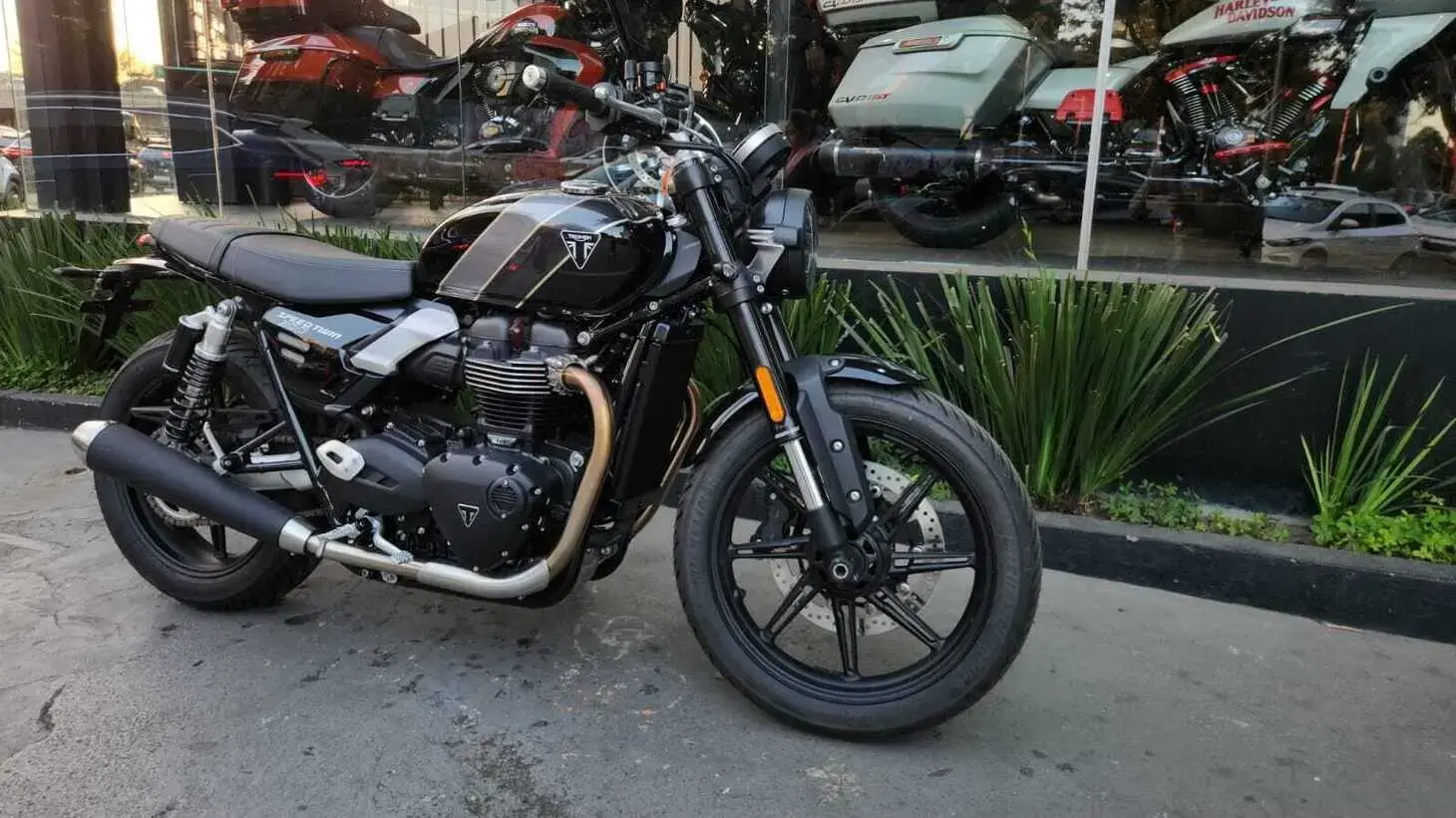 galeria Speed Twin 900