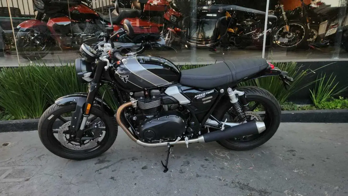 galeria Speed Twin 900