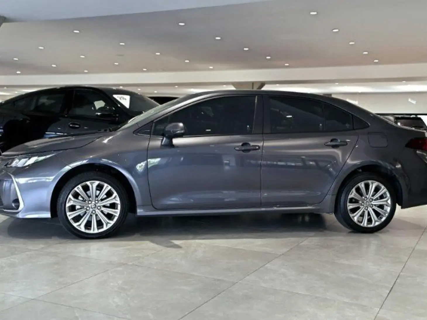 galeria Corolla