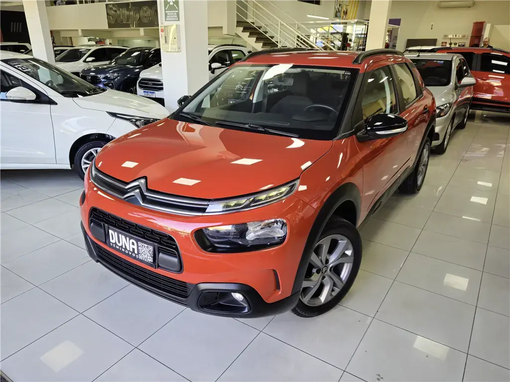 galeria C4 CACTUS