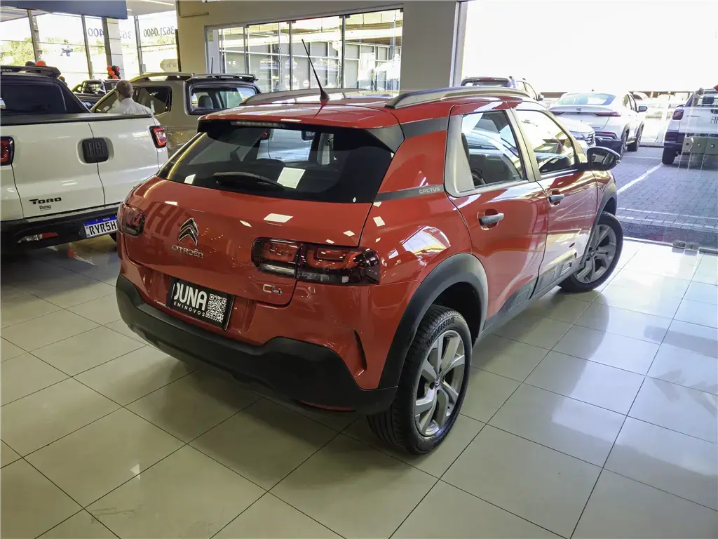galeria C4 CACTUS