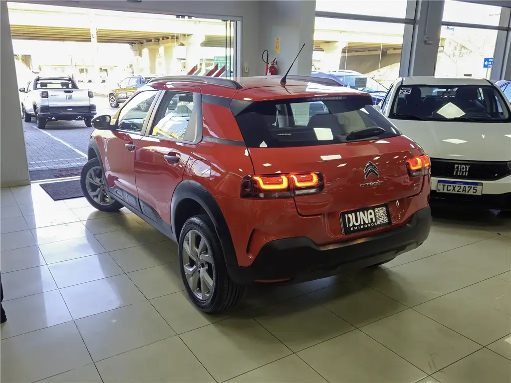 galeria C4 CACTUS