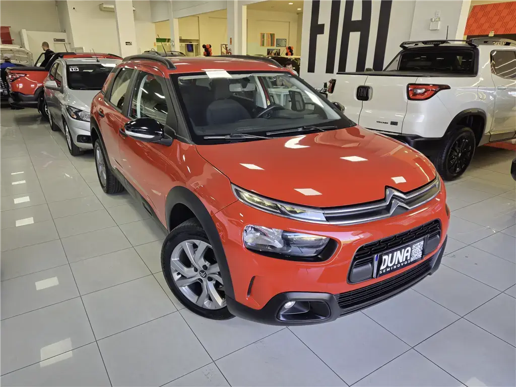 galeria C4 CACTUS