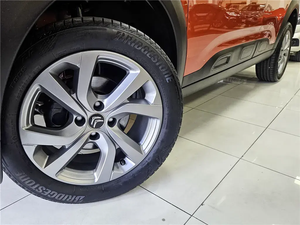 galeria C4 CACTUS