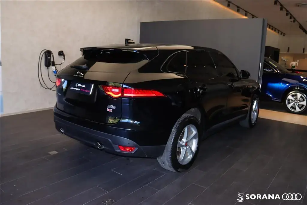 galeria F-PACE