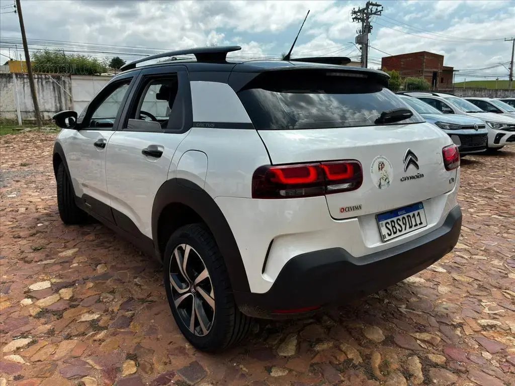 galeria C4 CACTUS