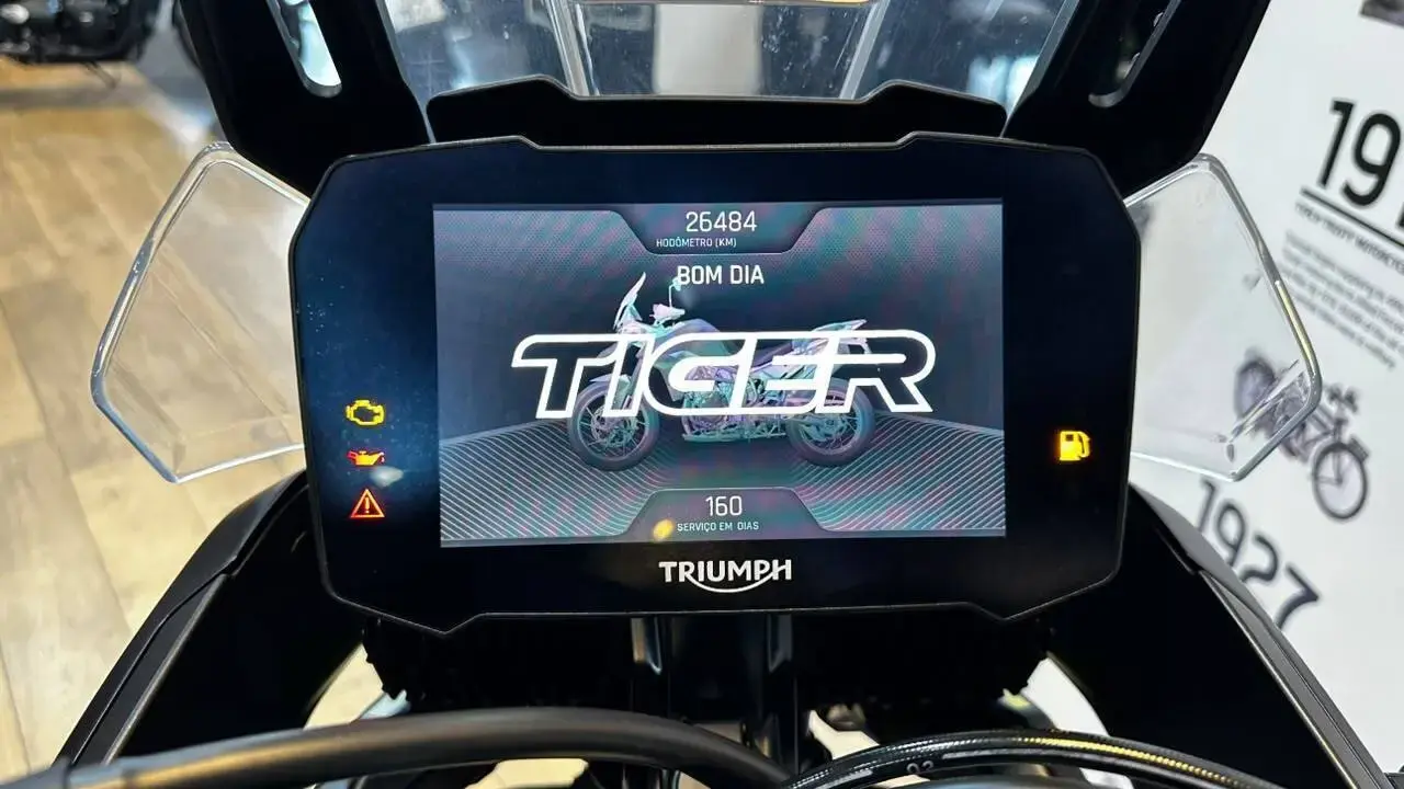 galeria TIGER