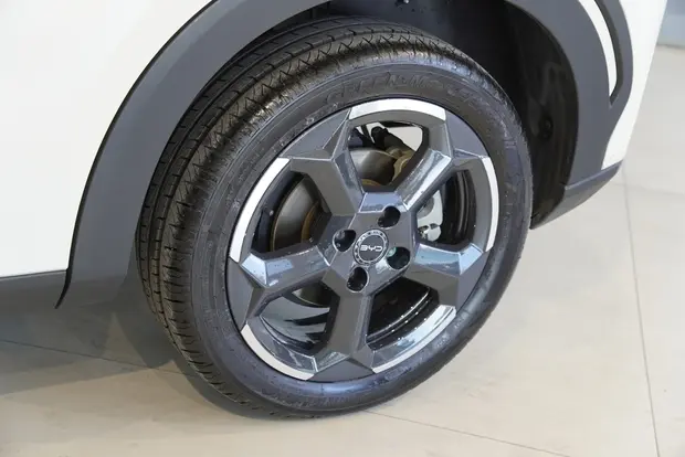 Byd DOLPHIN MINI 38 KW ELÉTRICO