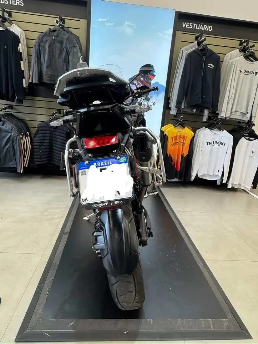 galeria TIGER
