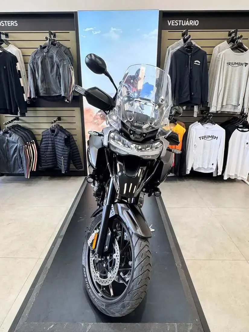 galeria TIGER