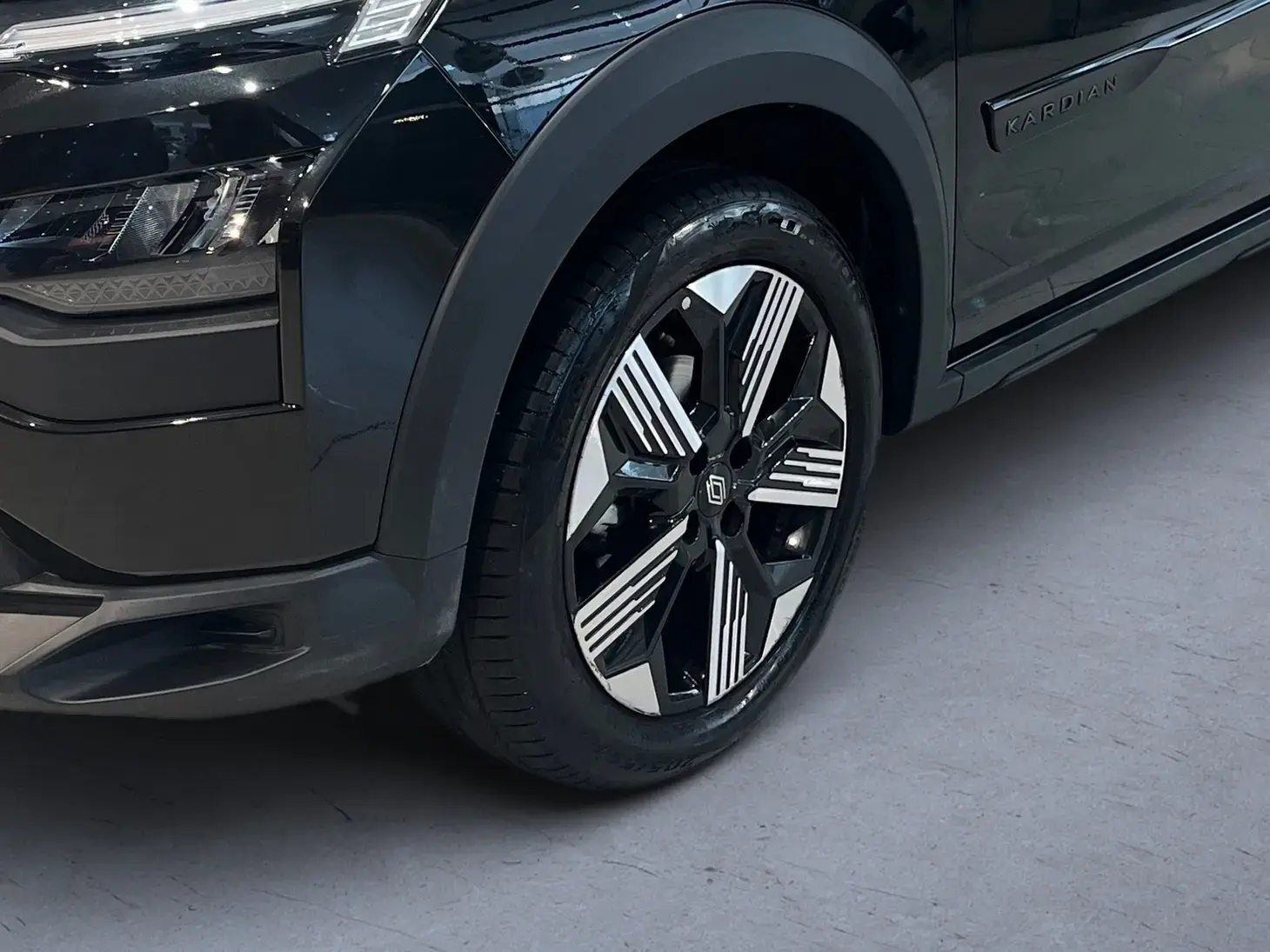 galeria Kardian