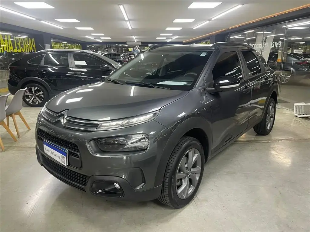 galeria C4 CACTUS