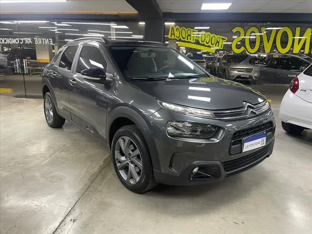 galeria C4 CACTUS