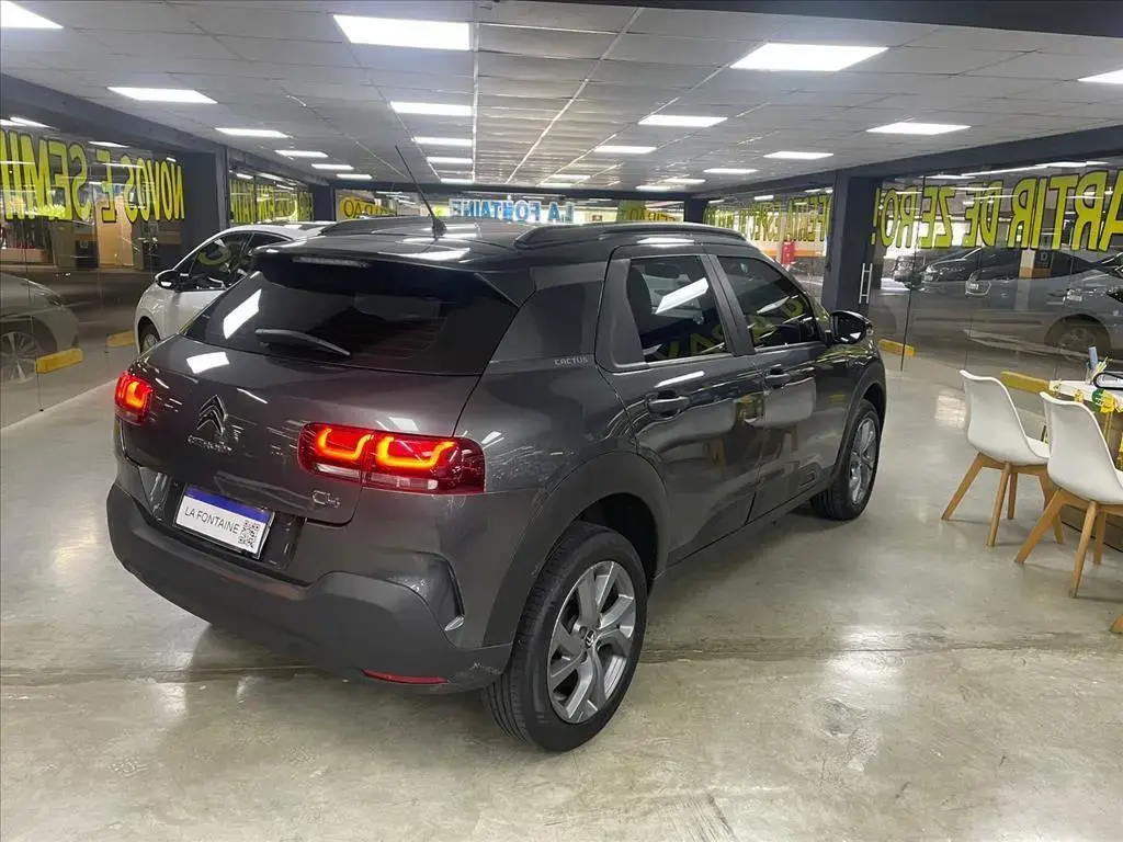 galeria C4 CACTUS
