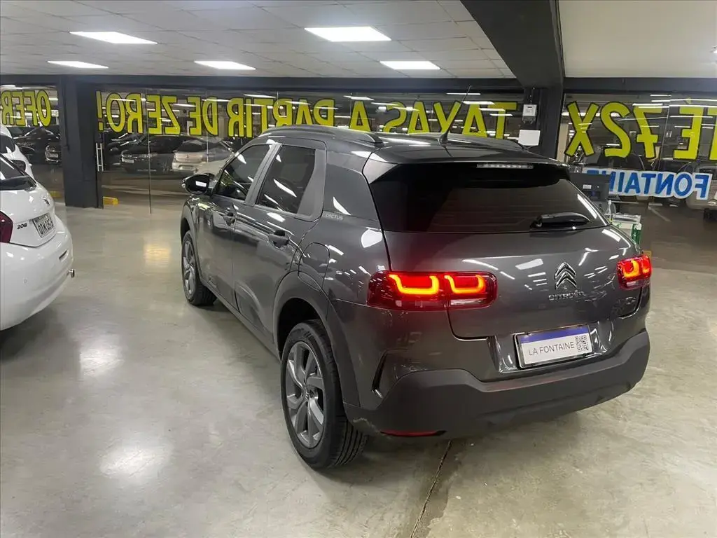 galeria C4 CACTUS