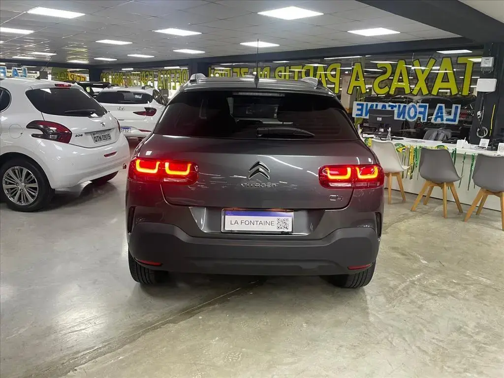 galeria C4 CACTUS