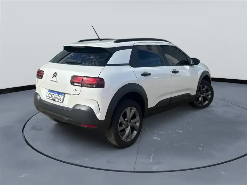 galeria C4 CACTUS