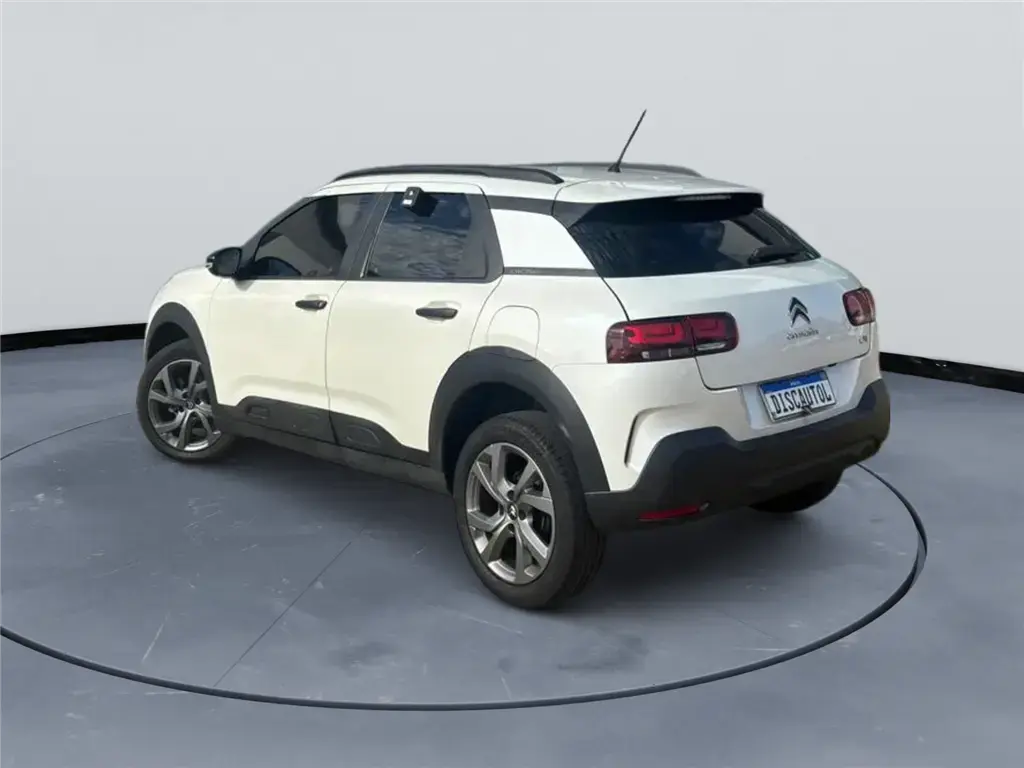 galeria C4 CACTUS