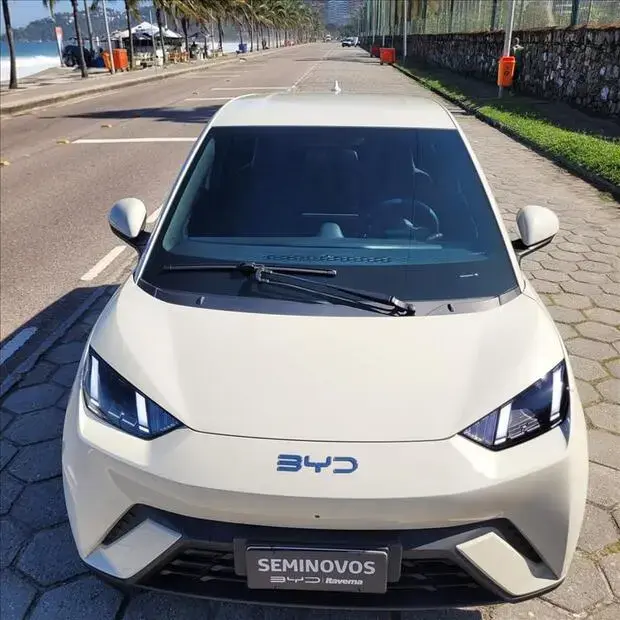 Byd DOLPHIN MINI 38 KW ELÉTRICO GS