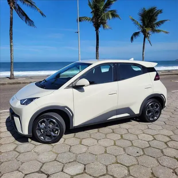 Byd DOLPHIN MINI 38 KW ELÉTRICO GS