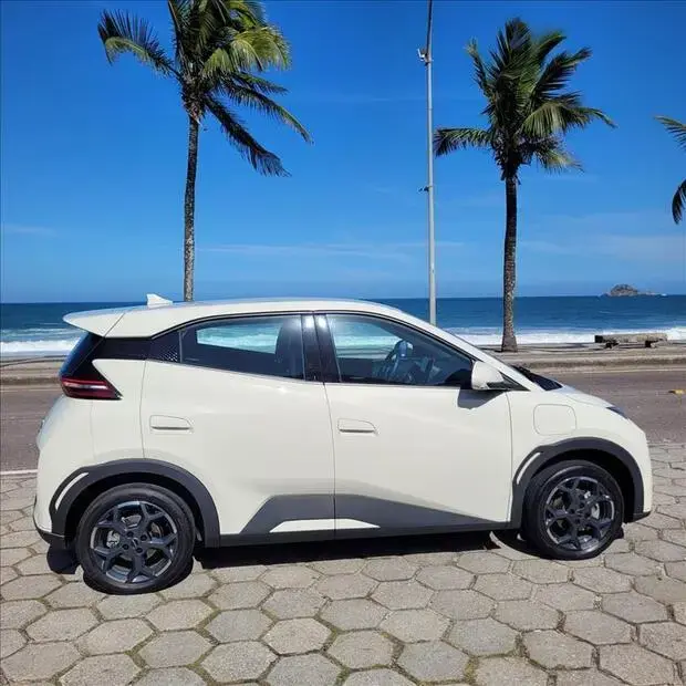 Byd DOLPHIN MINI 38 KW ELÉTRICO GS