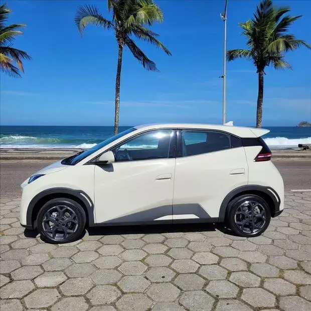 Byd DOLPHIN MINI 38 KW ELÉTRICO GS