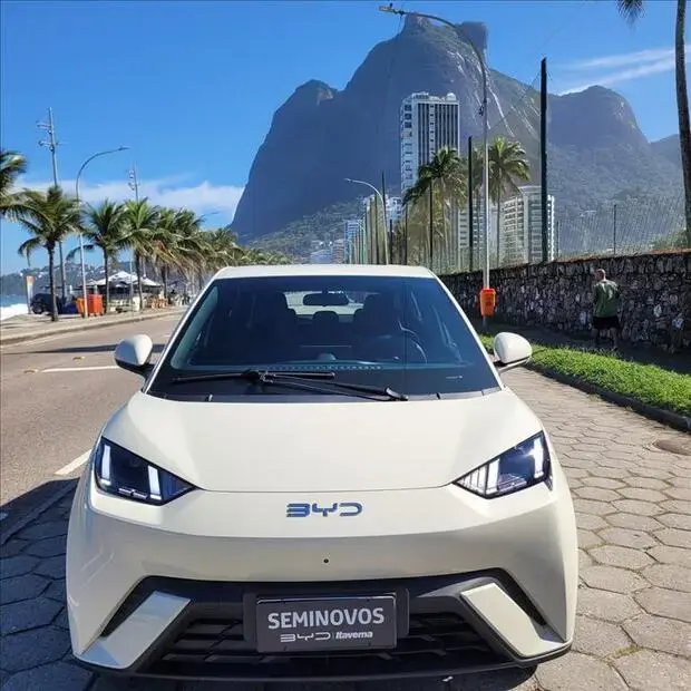Byd DOLPHIN MINI 38 KW ELÉTRICO GS