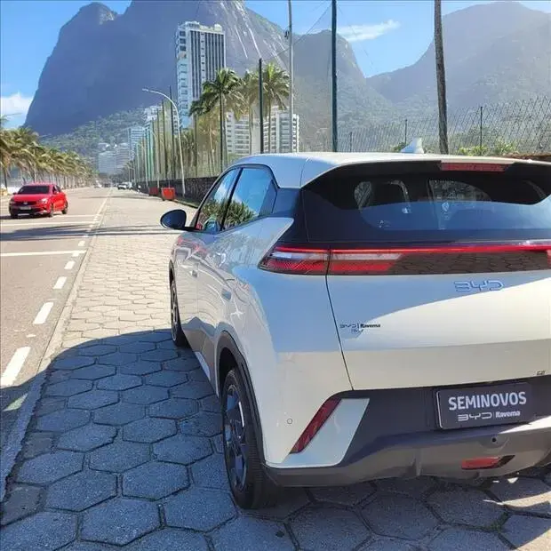 Byd DOLPHIN MINI 38 KW ELÉTRICO GS