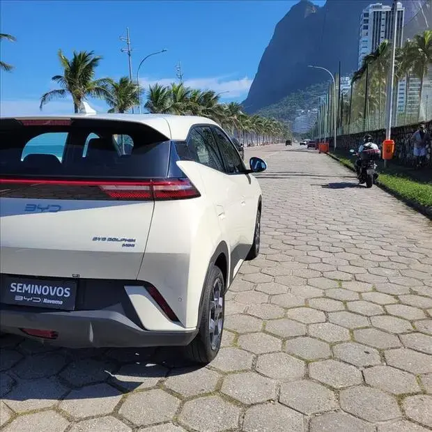 Byd DOLPHIN MINI 38 KW ELÉTRICO GS