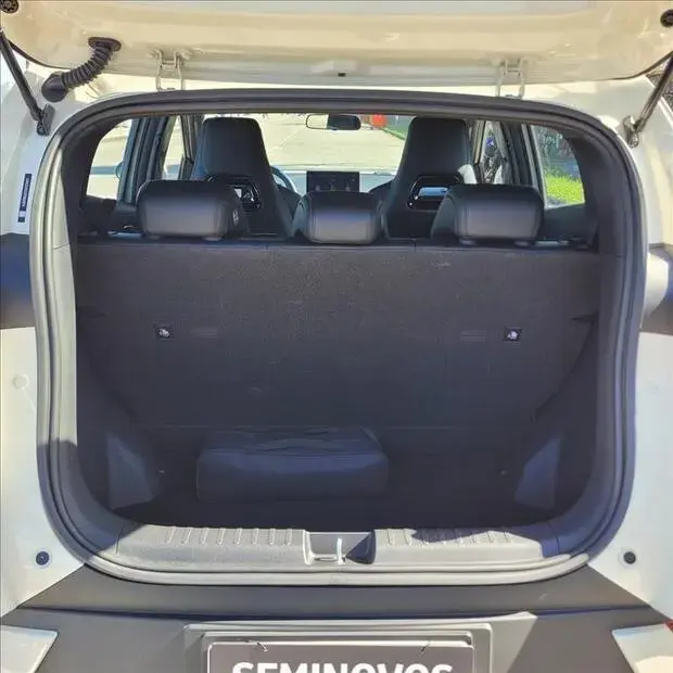 Byd DOLPHIN MINI 38 KW ELÉTRICO GS