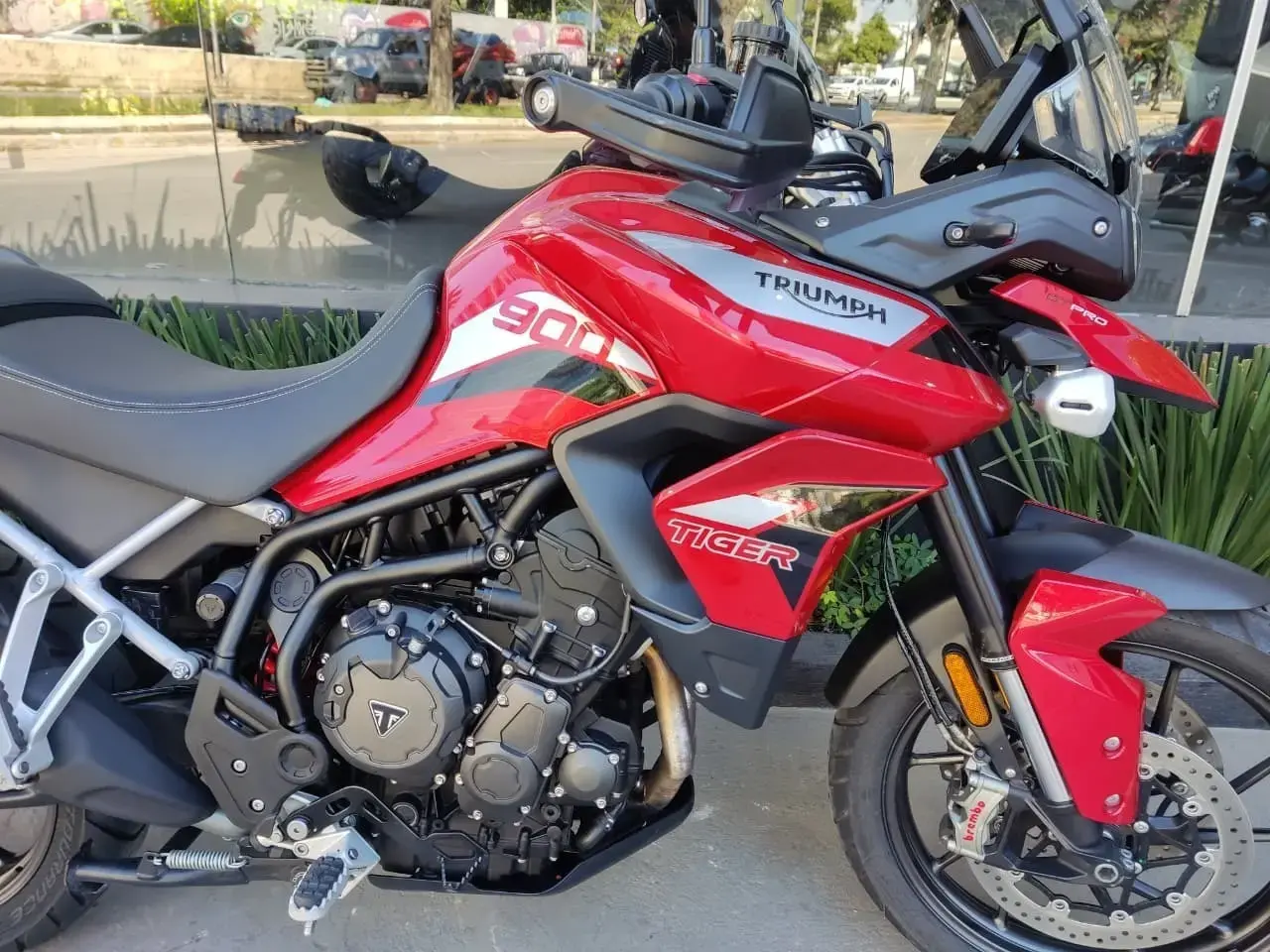 galeria Tiger 900
