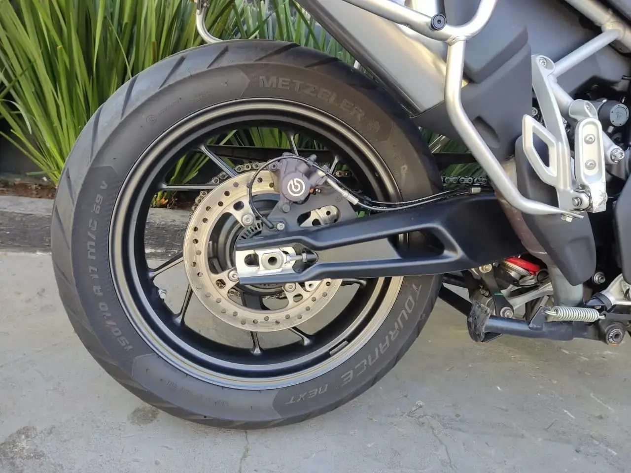 galeria Tiger 900