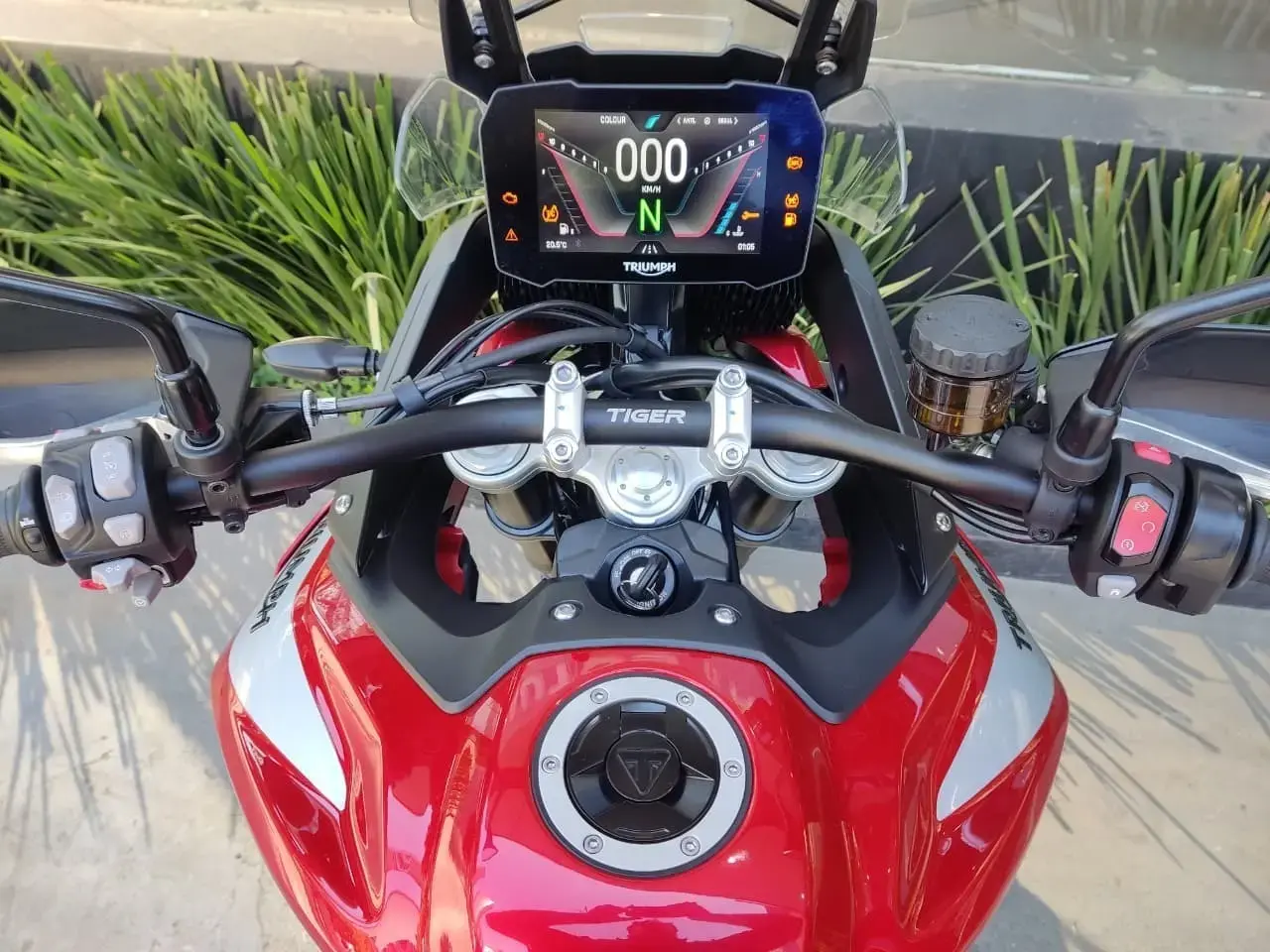 galeria Tiger 900