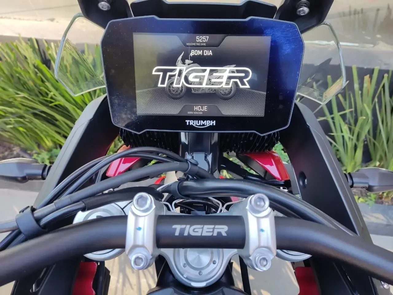galeria Tiger 900