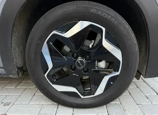 Byd Dolphin EV