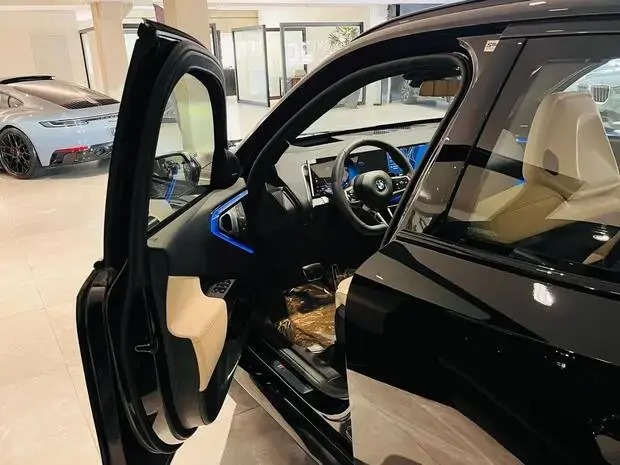 Bmw X3 30 xDrive M Sport 2.0 AT (Híb.)