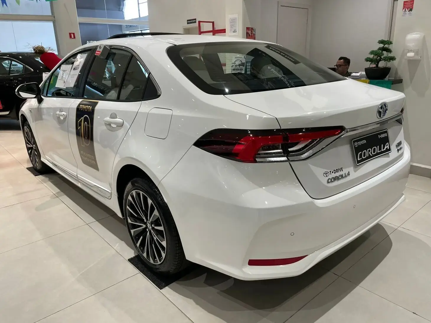 galeria Corolla