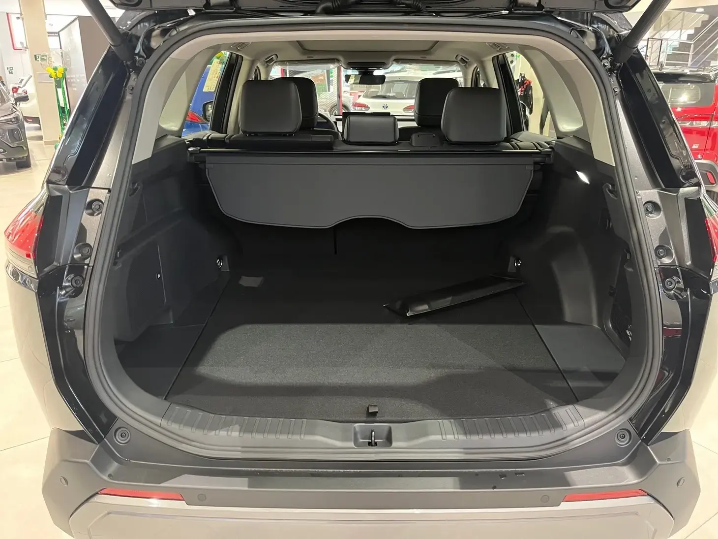 galeria RAV4