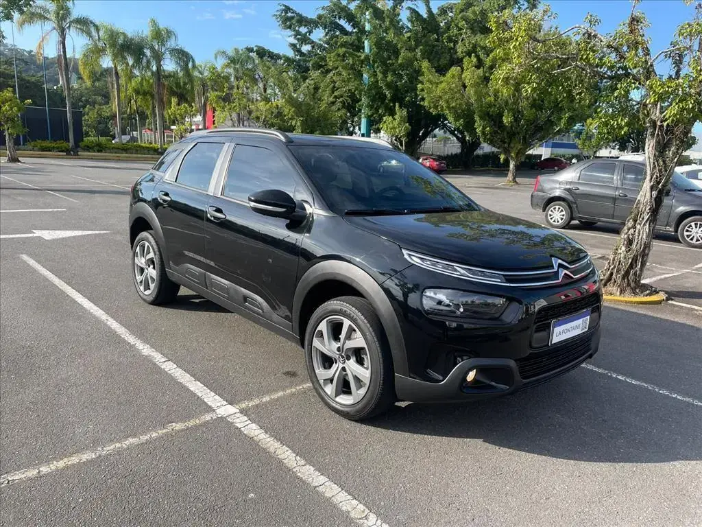 galeria C4 CACTUS