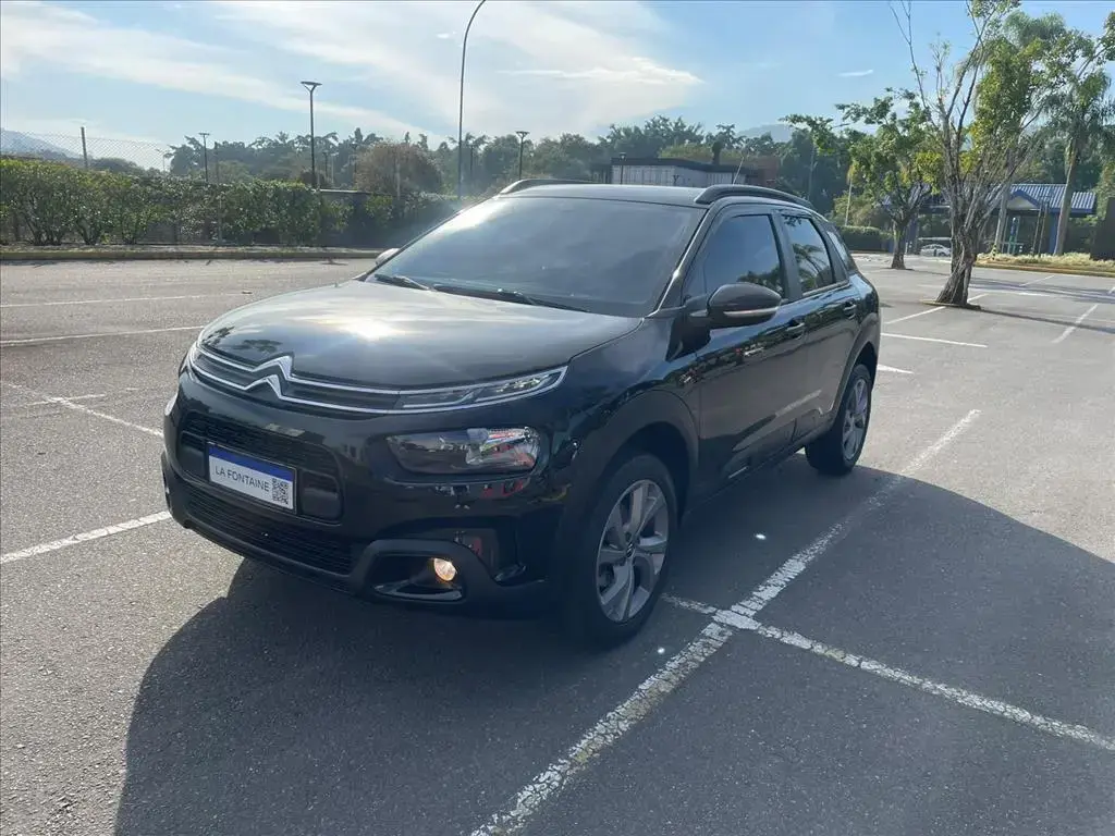 galeria C4 CACTUS